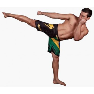 Шорты Venum "Brazilian Flag" Fightshorts - Black
